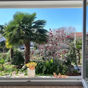 Summer Bloom Apartment